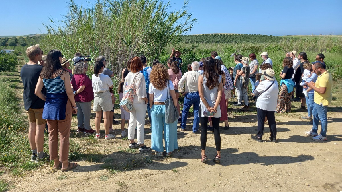 Sancha Pérez Winery-Oil Mill, visit us all year round