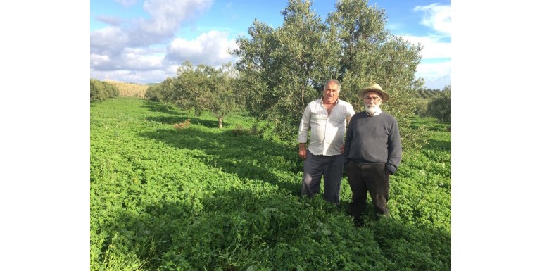 La cubierta vegetal como alternativa a los plaguicidas y fertilizantes químicos