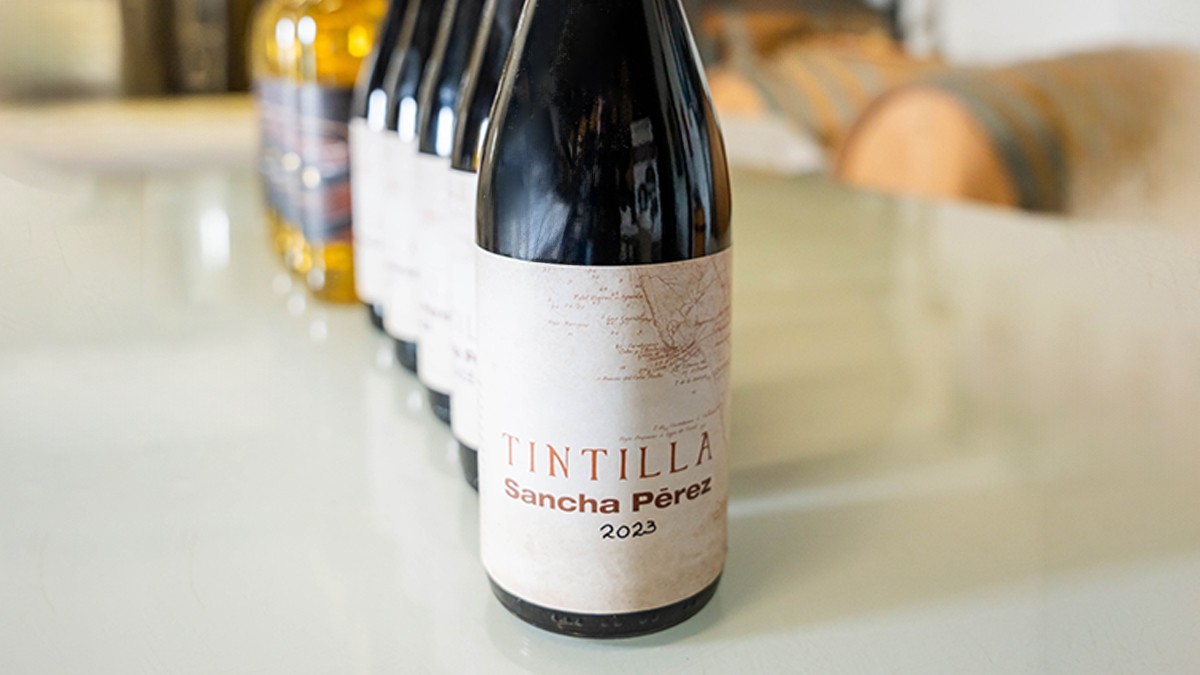Sancha Pérez works on a 100% Tintilla wine