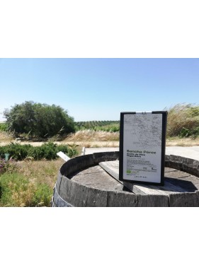 Aceite de Oliva Virgen Extra en Formato Bag in Box 5L