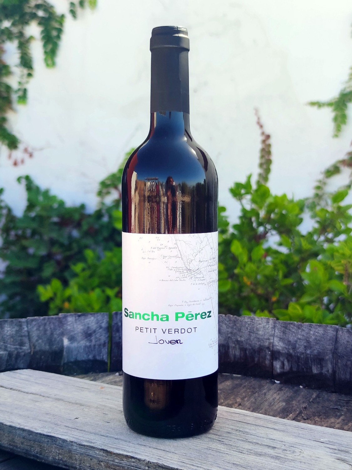 Petit Verdot Young 2023