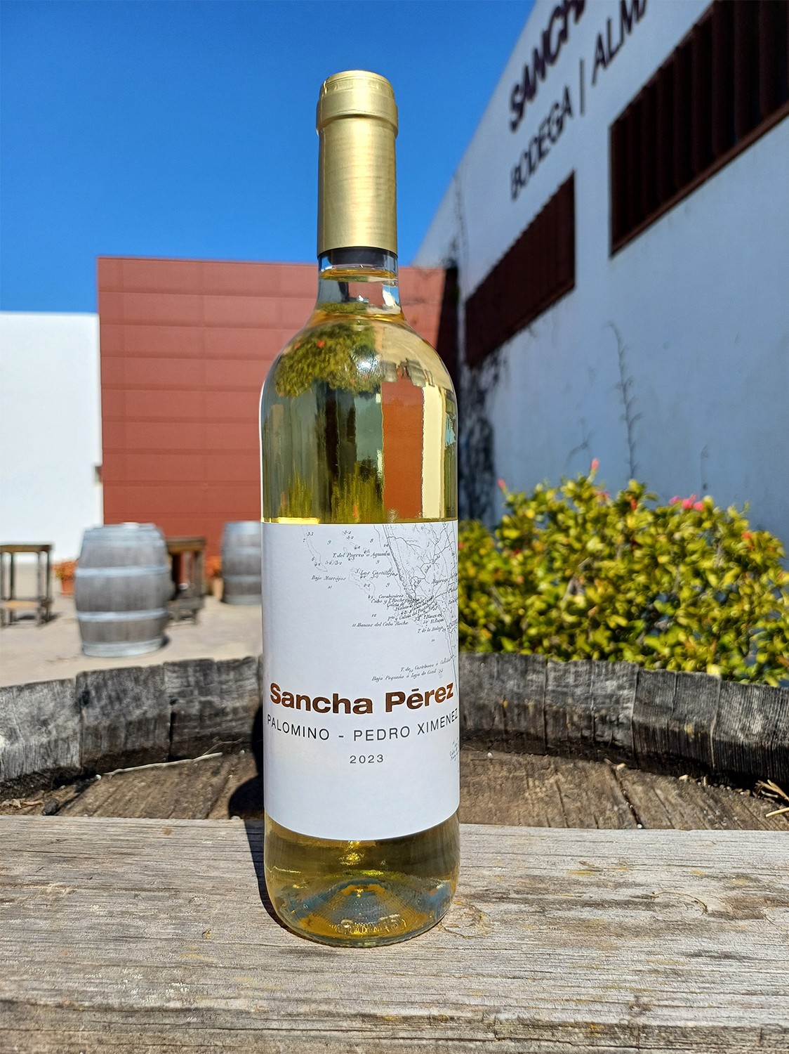 Palomino-Pedro Ximénez 2023