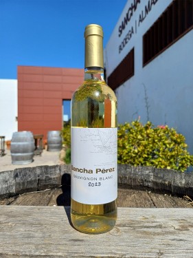 Sauvignon Blanc 2023 Sauvignon Blanc 2023