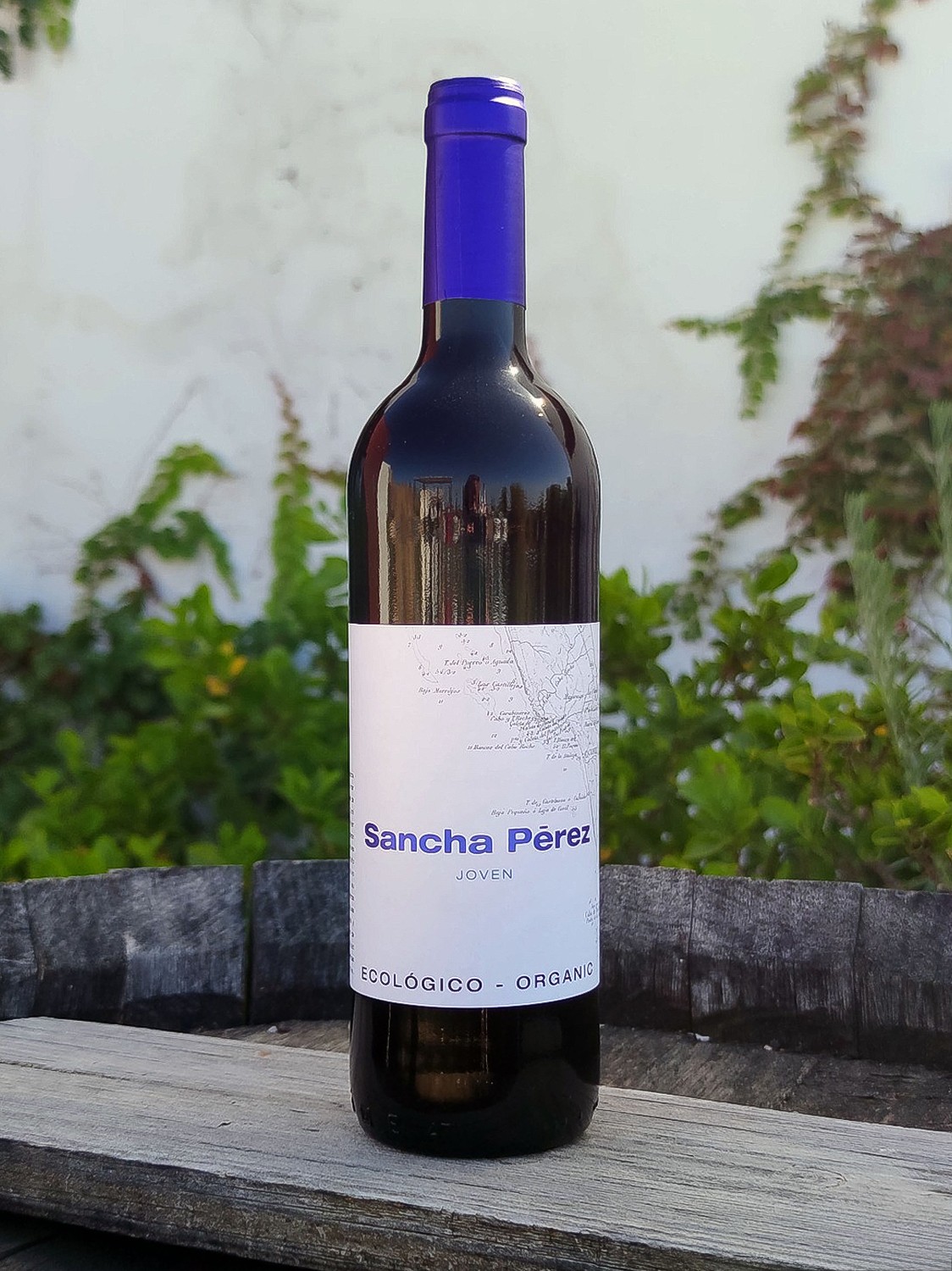 Young Red Wine 2023
