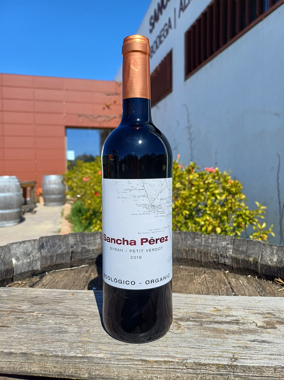 Syrah-Petit Verdot Crianza 2019