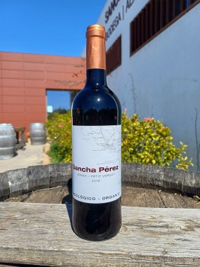 Syrah-Petit Verdot Crianza 2019