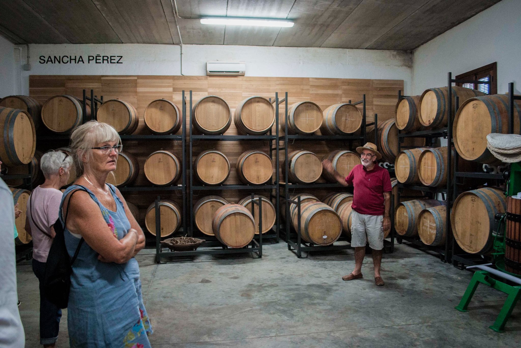 Bodega con barricas de vino de Sancha Perez