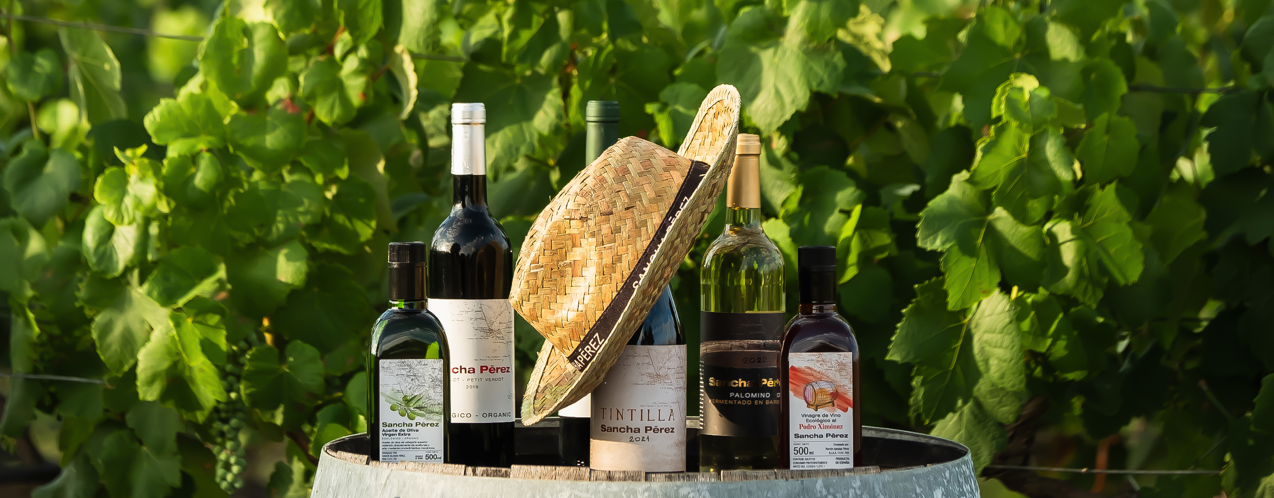 Bodega y Almazara Sancha Pérez en Conil, Cádiz Bodega y Almazara Sancha Pérez en Conil, Cádiz